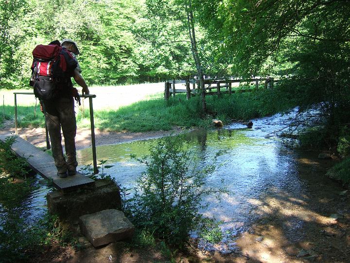 2008-05- (149).JPG - Die Brücke über die "Frézelle Rau" im Wald "Bois Renaud" entspricht nicht den deutschen Sicherheitsvorschriften - aber wir sind ja nicht in Deutschland.